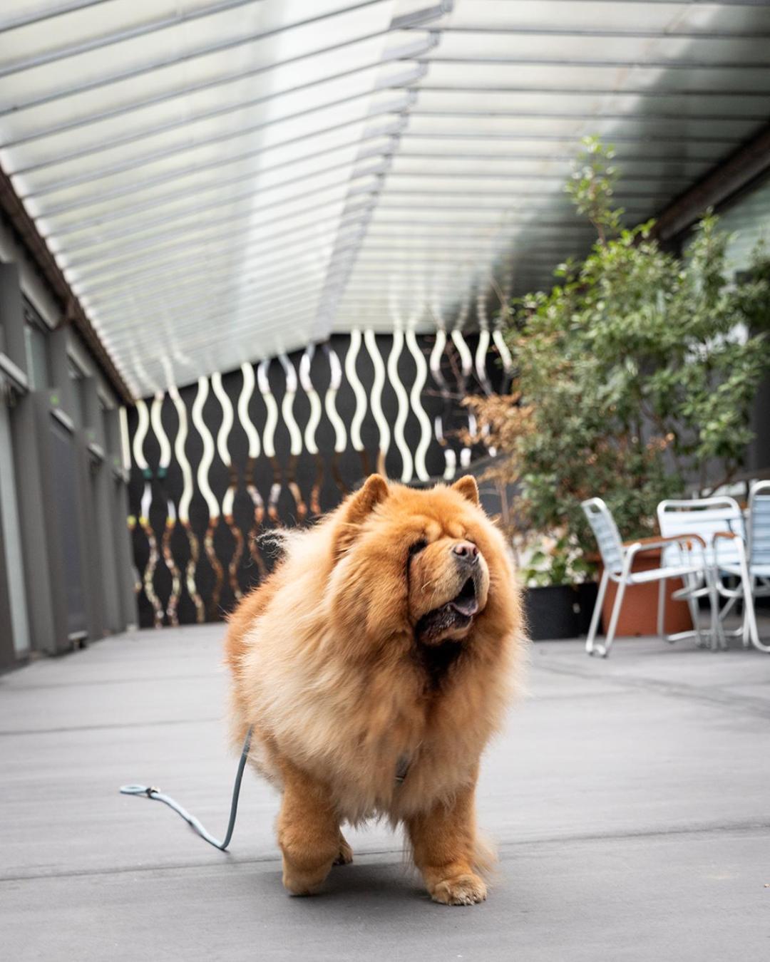 Greulich Design & Boutique Hotel Zurich Luaran gambar