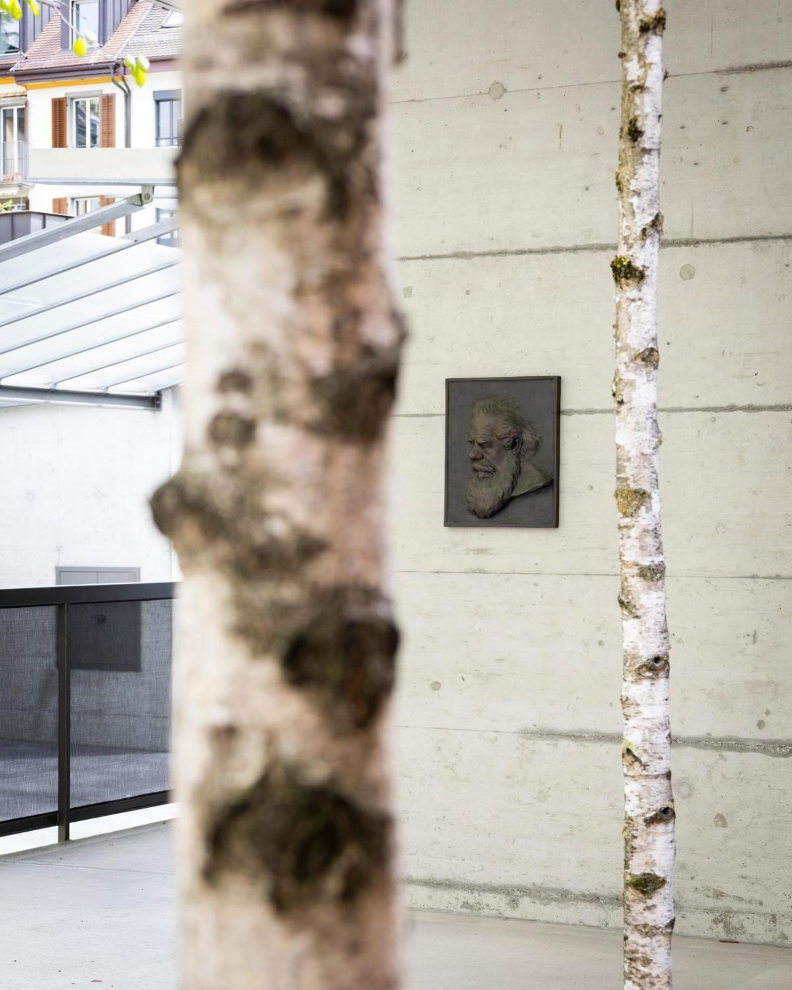 Greulich Design & Boutique Hotel Zurich Luaran gambar