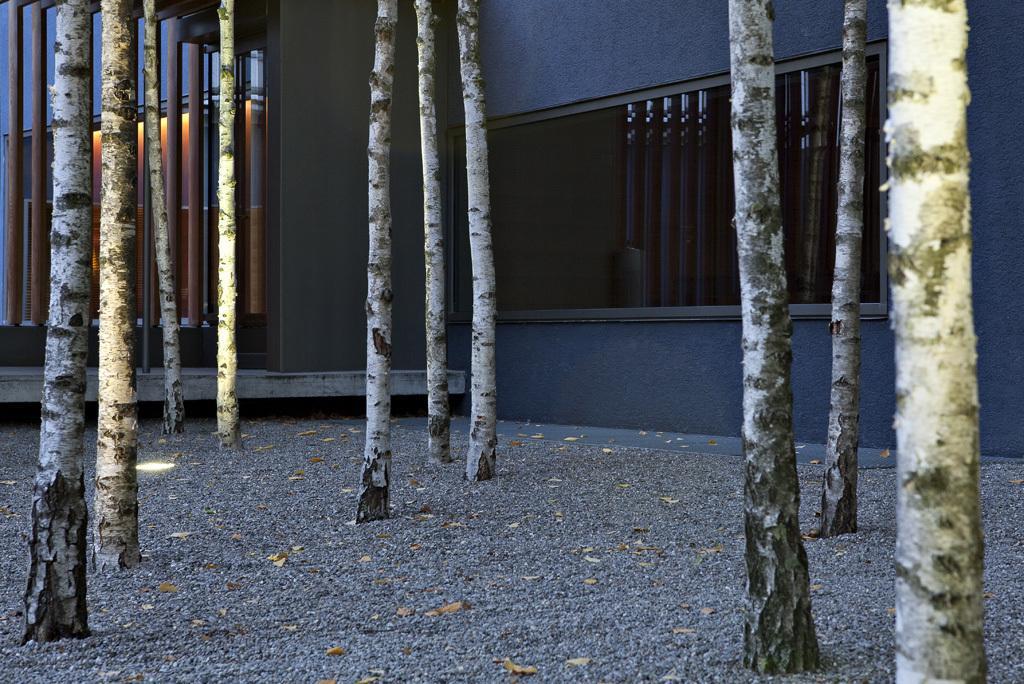 Greulich Design & Boutique Hotel Zurich Luaran gambar